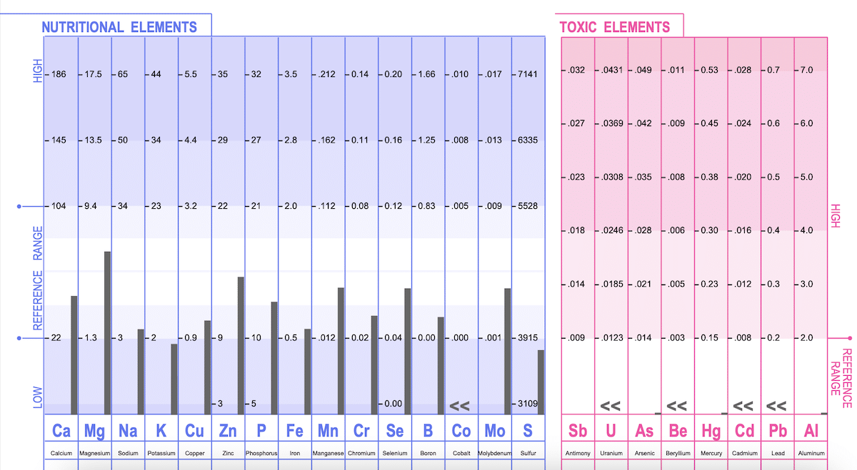 Hair Tissue Mineral Assessment (HTMA) Image / Graph